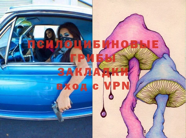 гашик Балахна